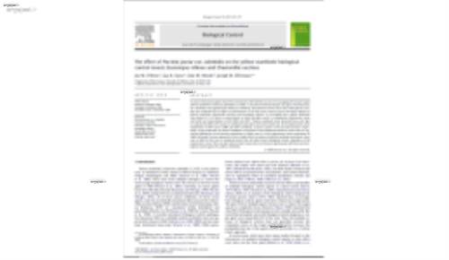 The effect of Puccinia jaceae var. solstitialis on the yellow starthistle biological control insects Eustenopus villosus and Chaetorellia succinea